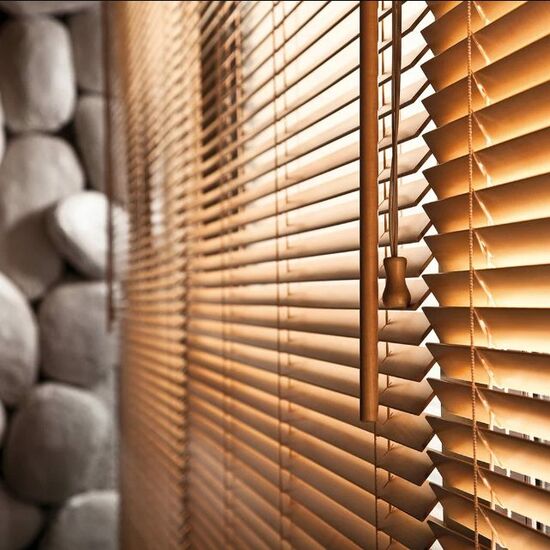 Жалюзи с алисой